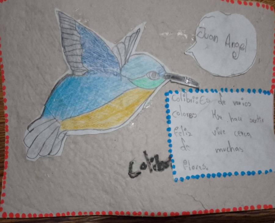 colibri.jpg