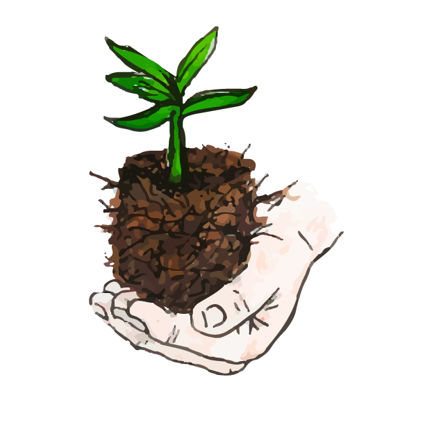 icono_trasplantar.png